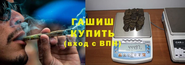 прущие грибы Тихвин